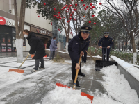 以雪为令 闻雪而动 西安3万余名城管人扫雪除冰保畅通