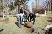 市城管执法总队为开元公园植树增绿